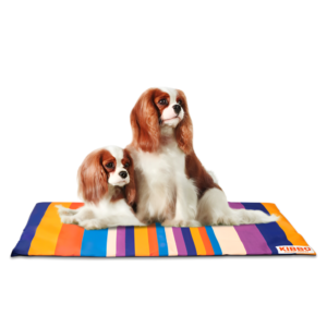 Kibbo Lightweight and Portable Mats for Dogs and Cats (Orange/Purple)