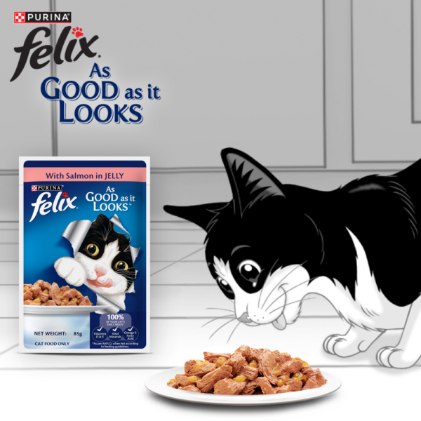Purina Felix Sardine with Jelly and Salmon with Jelly Adult Cat Wet Food Combo
