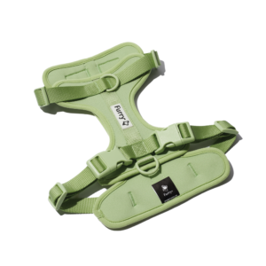 Furry & Co Bold Harness for Dogs (Matcha Latte)